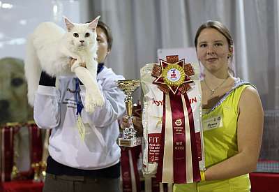 �������� ����� '���-�����-������' 22-23 ������ 2014 13_161_169A8415 copy.jpg